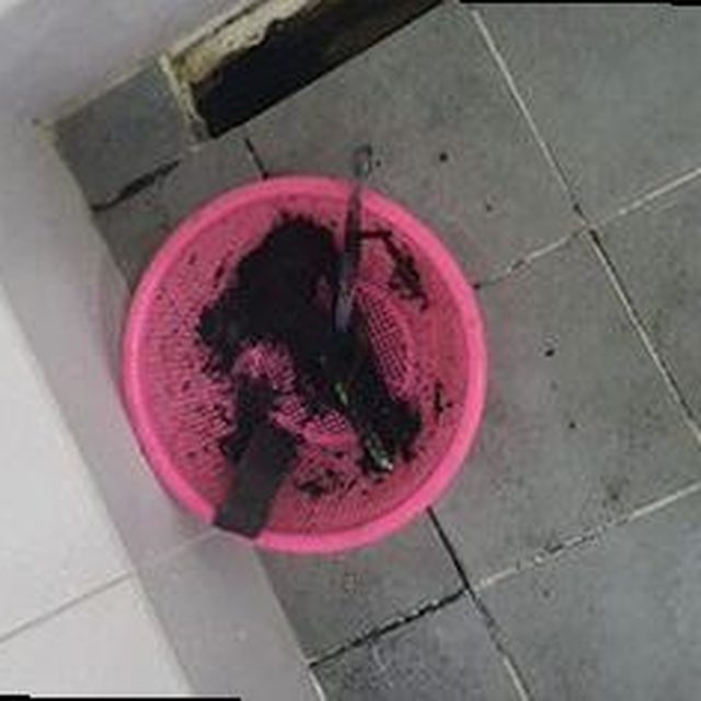 대전 서구 하수구막힘 관저1동